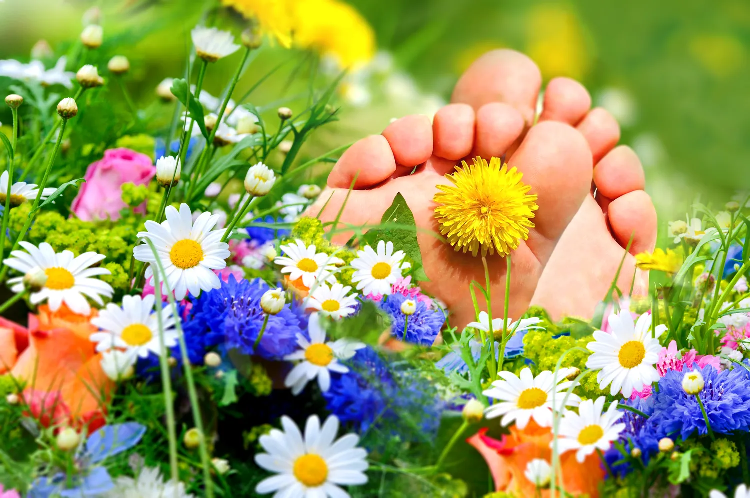 Pedicure leczniczy – co na ten temat wiedzieć trzeba?